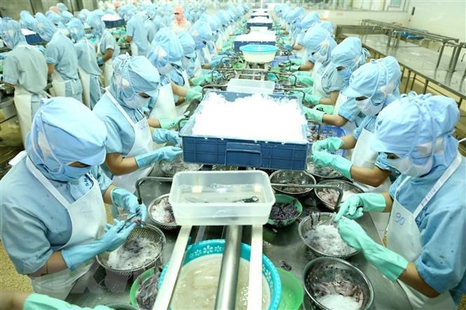 Năm 2019, khắc phục căn bản tình trạng kinh tế 4.0 nhưng quản lý 1.0 ảnh 2