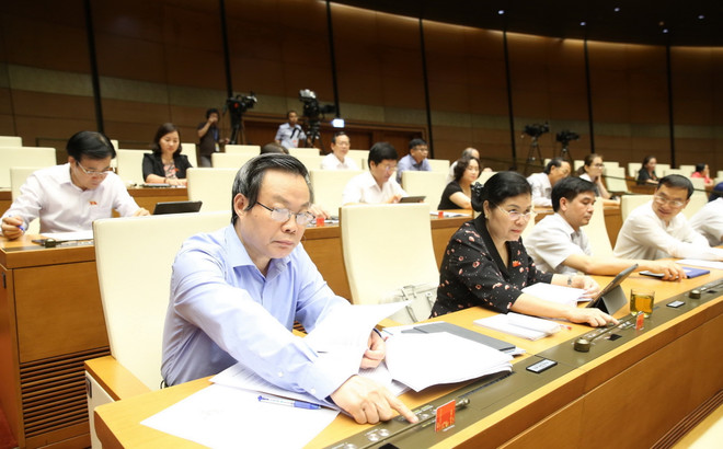 Kỳ họp thứ 9: Quốc hội biểu quyết thông qua Luật Thanh niên sửa đổi ảnh 1