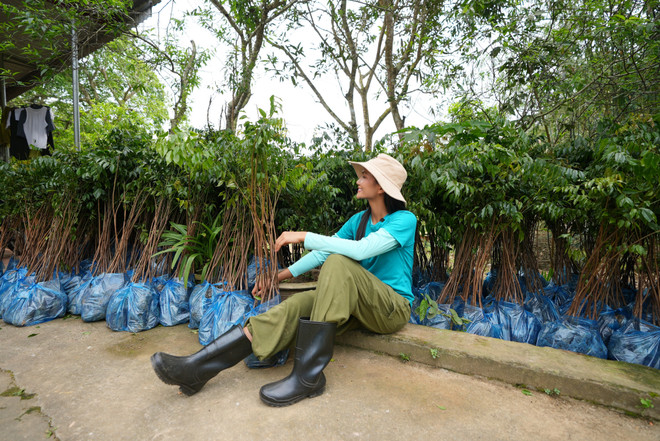 HHen Nie trong 1ha rung nam 202413.JPG