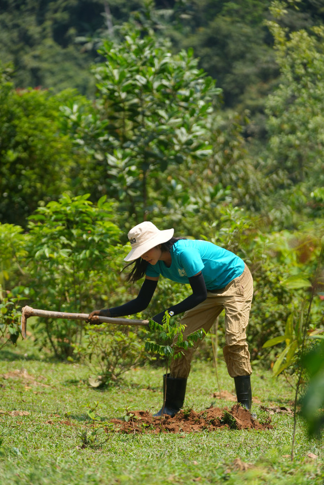 HHen Nie trong 1ha rung nam 20249.jpeg