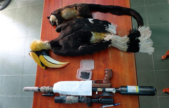 Bắt giữ 3 đối tượng dùng súng hơi săn bắt động vật quý hiếm ảnh 1