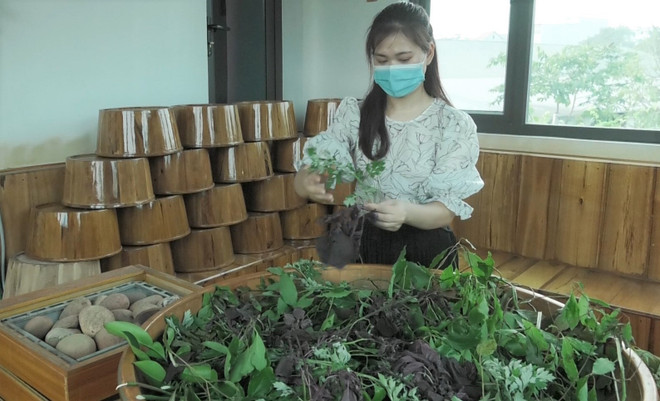 Cân bằng cảm xúc, nạp năng lượng bằng chuyến 'du lịch chữa lành' ảnh 1