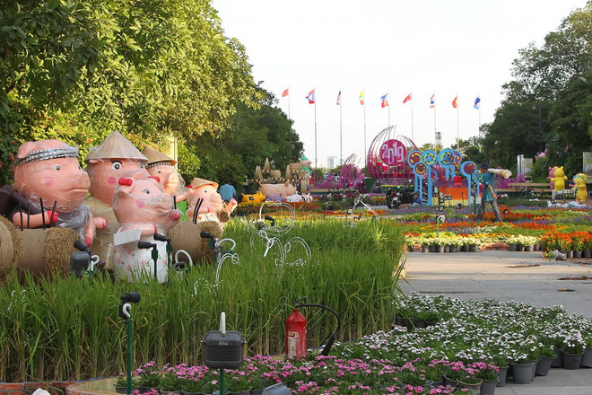 Đường hoa Nguyễn Huệ Tết Kỷ Hợi: Ấn tượng từ những chú lợn mũm mĩm ảnh 2