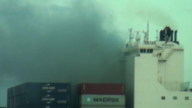 Cứu hộ tàu nước ngoài bị cháy ngoài khơi vùng biển Ninh Thuận ảnh 1