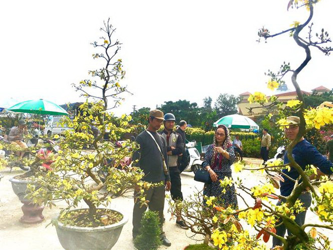 Giá hoa tươi tại Thành phố Hồ Chí Minh không tăng nhiều trong dịp Tết ảnh 1