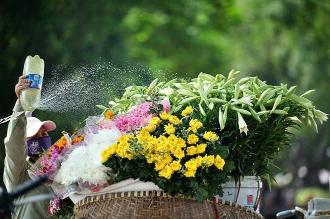 Miền Bắc có thể đón 2 đến 3 đợt không khí lạnh trong tháng Tư ảnh 1