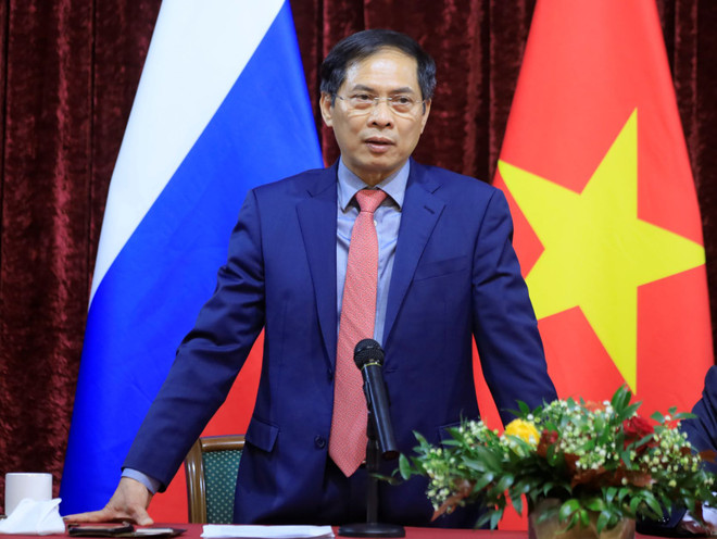 Bộ trưởng Bùi Thanh Sơn hội kiến Phó Thủ tướng Nga Dmitry Chernyshenko ảnh 1