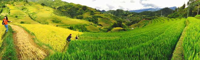 Phiêu cùng các phi công dù lượn trên sóng lúa thung lũng Lìm Mông ảnh 3