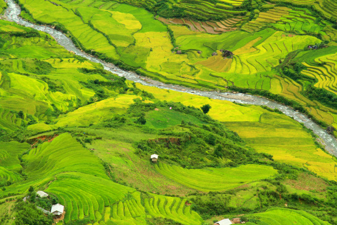 Phiêu cùng các phi công dù lượn trên sóng lúa thung lũng Lìm Mông ảnh 1