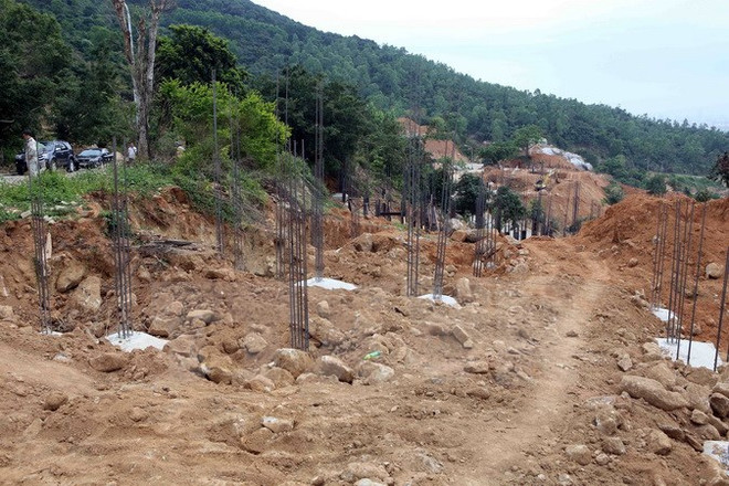 Đà Nẵng báo cáo Thủ tướng về quy hoạch Khu du lịch Sơn Trà ảnh 1