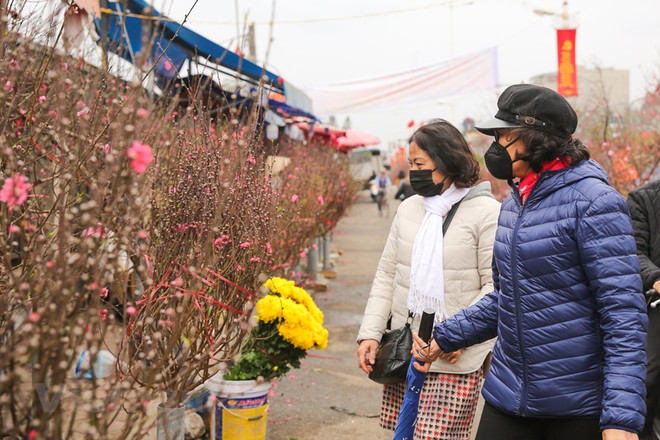 Bắc Bộ rét đậm trong dịp Tết, vùng núi có thể xuất hiện mưa tuyết ảnh 1