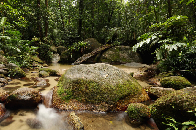 Sốc với hình ảnh một bà mẹ ngồi xổm sinh con giữa dòng suối ảnh 3