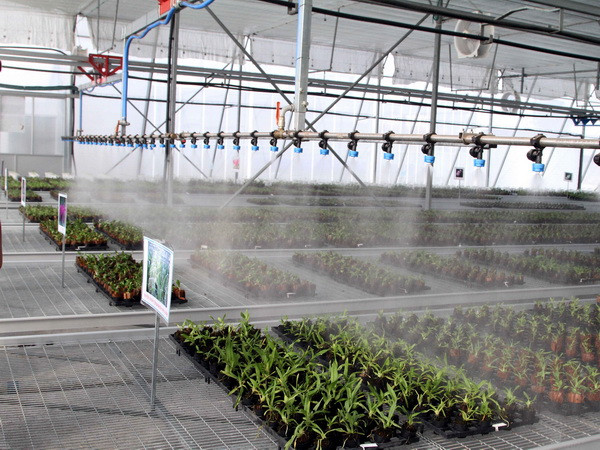 Khánh thành nhà kính, nhà lưới hiện đại nhất miền Nam ảnh 1