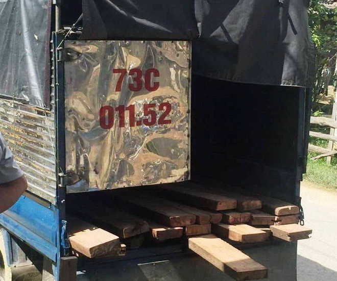 Cán bộ kiểm lâm bị đánh chấn thương sọ não trong khi làm nhiệm vụ ảnh 1