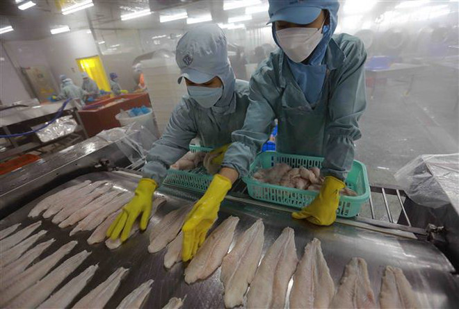 Xuất khẩu cá tra: Mức giảm thu hẹp, các thị trường nhỏ tăng trưởng khá ảnh 3