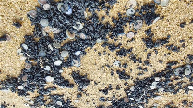 Phú Yên: Thu gom vệt dầu vón cục xuất hiện ở bờ biển Tuy Hòa ảnh 2