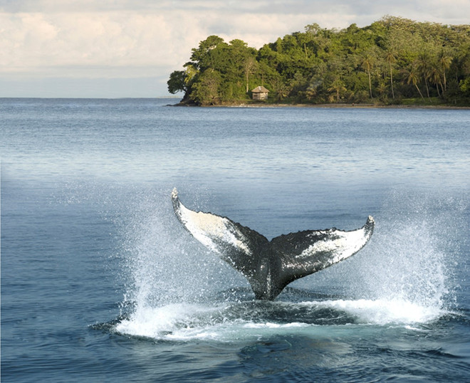 Đến Nam Mỹ trải nghiệm du lịch “văn hóa thổ dân” Colombia ảnh 2
