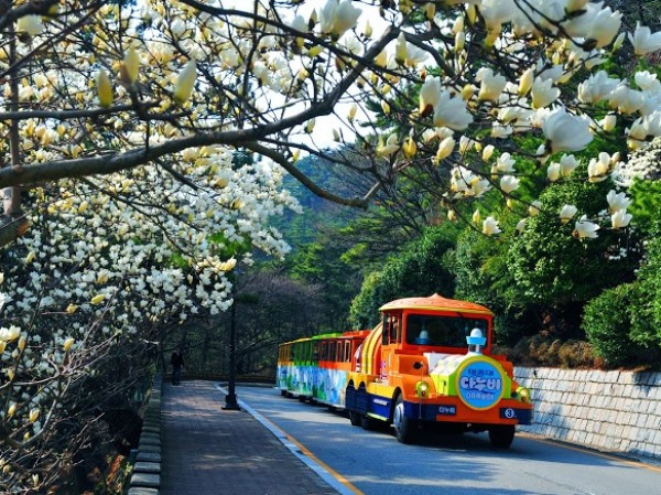 Khởi động chiến dịch “Du lịch Hàn Quốc-Cổ vũ Việt Nam” ảnh 1