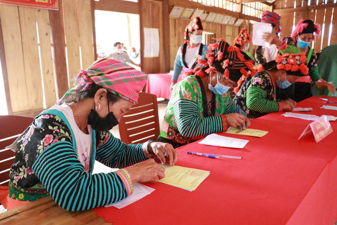 ttxvn_cu tri di bau cu.jpg