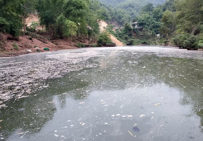 Bến Tre: Phạt hành chính doanh nghiệp gây ô nhiễm môi trường ảnh 1