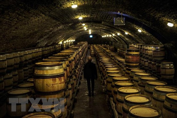 Pháp: Tình hình sương giá nghiêm trọng đe dọa sản lượng rượu vang ảnh 1