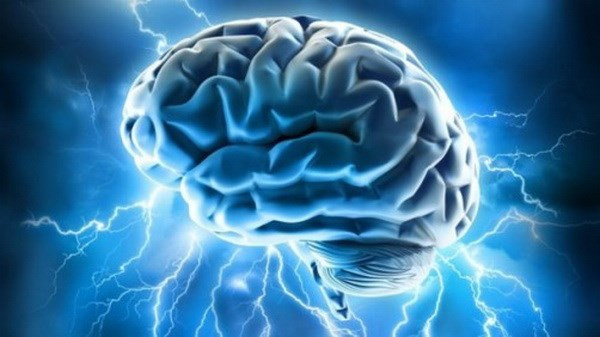 (Nguồn: newswise.com) Phát hiện phương pháp mới ngăn chặn sự lây lan của tế bào ung thư não ảnh 1