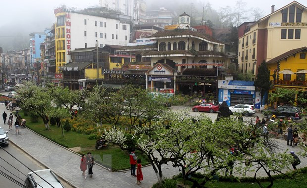 Lào Cai xuất hiện mưa đá đi kèm với gió giật mạnh cấp 9 ảnh 1