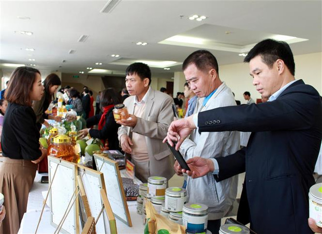 Liên kết tiêu thụ sản phẩm của hợp tác xã 7 tỉnh Đông Bắc ảnh 1