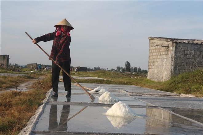 Bình Định: Diêm dân gặp khó khăn khi giá muối xuống quá thấp ảnh 1