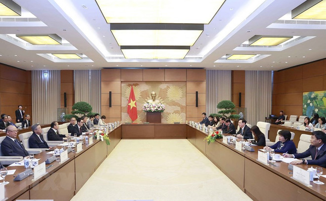 Thúc đẩy ngoại giao nghị viện, giao lưu nhân dân Việt Nam-Nhật Bản ảnh 2