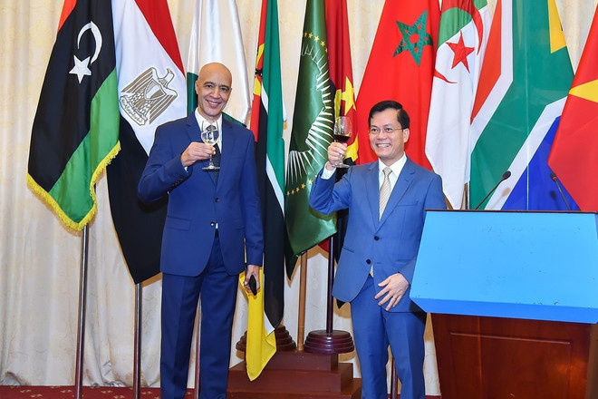 Việt Nam coi trọng thúc đẩy quan hệ hợp tác với các nước châu Phi ảnh 1