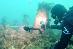 Khám phá bức tường 7.000 năm tuổi dưới biển phía Tây nước Pháp