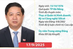 Quá trình công tác của Bí thư Thành ủy Đà Nẵng Lương Nguyễn Minh Triết