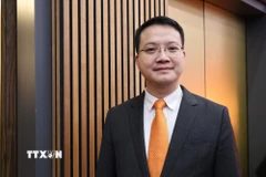 Giáo sư, Tiến sỹ Đặng Hoàng Linh, Tham thán Công sứ Đại sứ quán Việt Nam tại Cộng hòa Liên bang Đức. (Ảnh: Thu Hằng/TTTXVN)