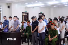 Các bị cáo tại phiên tòa xét xử. (Ảnh: Phạm Kiên/TTXVN)