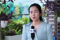 Vì sao 3 doanh nghiệp vàng bị xử phạt?