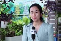 Vì sao 3 doanh nghiệp vàng bị xử phạt?