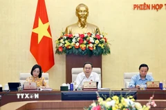 Chủ tịch Quốc hội Trần Thanh Mẫn phát biểu. (Ảnh: Doãn Tấn/TTXVN)