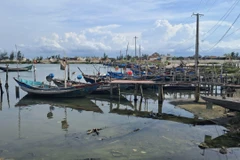 Hàng loạt tàu thuyền của ngư dân phường Thuận An, Huế đã vào bờ neo đậu. (Ảnh: TTXVN phát)
