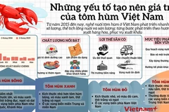 Những yếu tố tạo nên giá trị cho tôm hùm Việt Nam