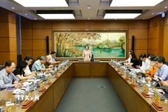 Đoàn đại biểu Quốc hội thành phố Hà Nội thảo luận ở tổ. (Ảnh: Doãn Tấn/TTXVN)