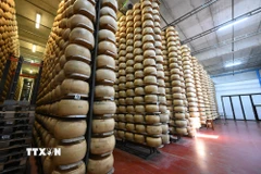 Phomát được chế biến tại Tortiano, Parma, Italy. (Nguồn: THX/TTXVN(
