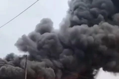 (Ảnh minh họa: TTXVN phát)