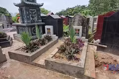 (Ảnh minh họa: TTXVN)