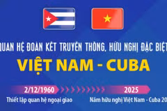 Quan hệ đoàn kết truyền thống, hữu nghị đặc biệt Việt Nam-Cuba