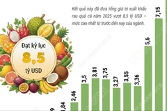 Xuất khẩu rau quả “lội ngược dòng” ấn tượng, đạt kỷ lục 8,5 tỷ USD năm 2025
