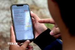 Sinh viên tra cứu thông tin liên quan đến cuộc bầu cử như: địa điểm bỏ phiếu, danh sách ứng cử viên, tiểu sử và chương trình hành động của các ứng cử viên trên ứng dụng VNeID. (Ảnh: Khoa Chương/TTXVN)