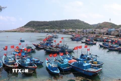 Cờ Tổ quốc trên nhiều tàu cá ở đặc khu Lý Sơn (Quảng Ngãi), hướng về Ngày bầu cử. (Ảnh: Phạm Cường/TTXVN)