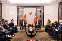 Chủ tịch Quốc hội Trần Thanh Mẫn hội kiến Chủ tịch Quốc hội Thổ Nhĩ Kỳ Numan Kurtulmus. (Ảnh: Doãn Tấn/TTXVN)