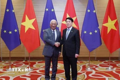 Chủ tịch nước Lương Cường và Chủ tịch Hội đồng châu Âu António Costa chụp ảnh chung.(Ảnh: Lâm Khánh/TTXVN)